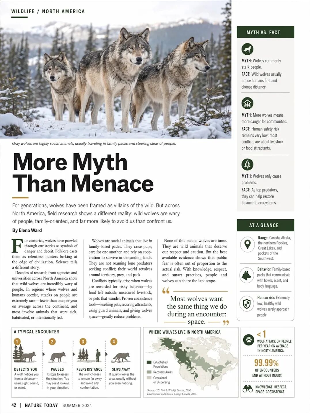 Wolf science magazine editorial prompt example